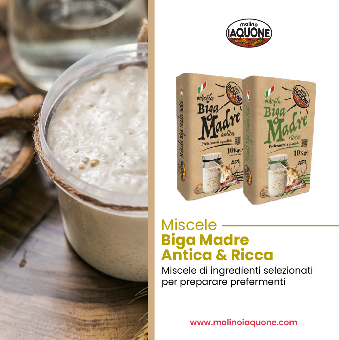 Miscela Biga Madre